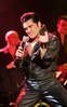 ELVIS-Das-Musical_06_(c)Stars-in-Concert_Andreas-Friese